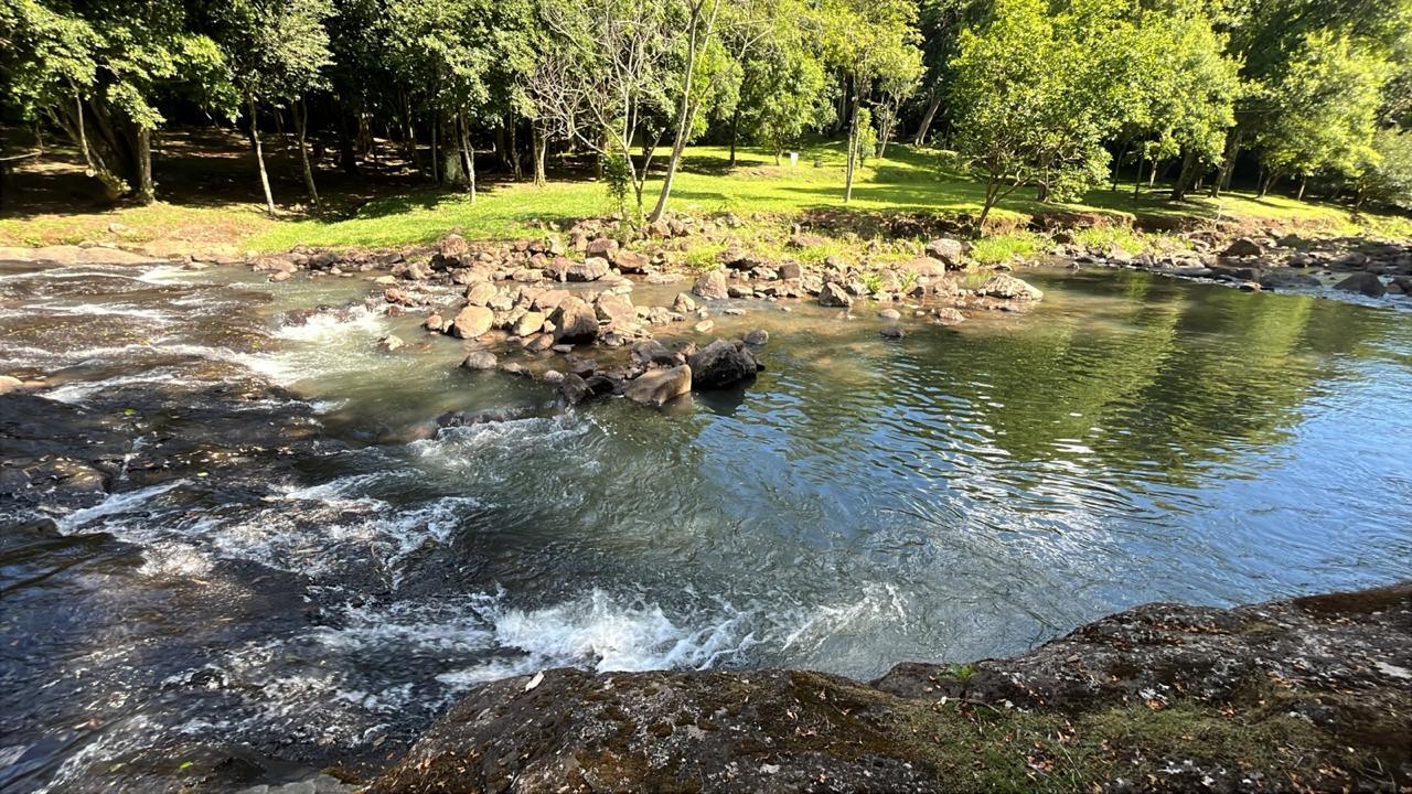 Poço de água verde entre pedras, com o gramado ao fundo
